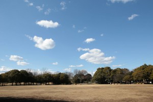 青空の公園